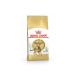 ROYAL CANIN Bengal cat food 2 kg