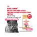 Royal Canin Dry food for kittens of a British short -haired breed