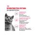 Royal Canin Dry food for kittens of a British short -haired breed - Buy Online on GoSupps.com