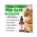 Oimmal Vitamins against urinary tract infections and kids for cats - Buy Online on GoSupps.com
