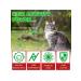 Oimmal Vitamins against urinary tract infections and kids for cats - Buy Online on GoSupps.com