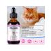 Oimmal Vitamins with collagen biotin MSM and ginger for cats - Buy Online on GoSupps.com