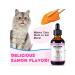 Oimmal Vitamins with collagen biotin MSM and ginger for cats - Buy Online on GoSupps.com