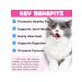 Oimmal Vitamins with collagen biotin MSM and ginger for cats - Buy Online on GoSupps.com
