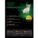 QUATTRO Feed for kittens of Tonkinskaya breeds with lamb 2 kg - Buy Online on GoSupps.com