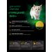 QUATTRO Feed for kittens of breed Turkish van with lamb 2 kg - Buy Online on GoSupps.com