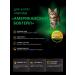 QUATTRO Feed for kittens of breed American bobtail lamb 2 kg - Buy Online on GoSupps.com
