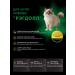 QUATTRO Feed for kittens of the ragdall breed with lamb 2 kg - Buy Online on GoSupps.com