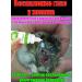Anti -inflammatory eye drops for animals 20 ml