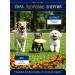 OriginalChef Dry food Holistic for small dogs of lambs 3 kg - Buy Online on GoSupps.com