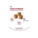 ROYAL CANIN Dry food for kittens Main Kun at the age of 15 months 2 kg - Buy Online on GoSupps.com