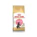 ROYAL CANIN Food for Maine Coon kittens aged 3 to 15 months 400 g