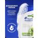 Head & Shoulders hair shampoo care for sensitive skin ... - Buy Online on GoSupps.com