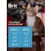 Brit Wet food for kittens chicken in sauce 85 g x 28 pcs - Buy Online on GoSupps.com