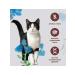 Almo Nature Sterilized cats with sterilized beef 0.4 kg - Buy Online on GoSupps.com