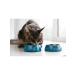 PURINA ONE Dry food for adult cats chicken and cereals - Buy Online on GoSupps.com