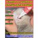 Drops from the ear tick for cats 60ml