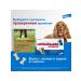Elanco Drontal Plus for dogs with the taste of meat 35kg 2 tab - Buy Online on GoSupps.com