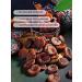 Chocolate dried apricots 1 kg - Buy Online on GoSupps.com