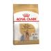 ROYAL CANIN Dry food for dogs of the breed Yorkshire Terrier 3 kg
