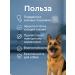 AVZ BARS flea and tick repellent for dogs protection up to 2 months  - Buy Online on GoSupps.com