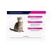 Eukanuba Spider for cats with salmon in sauce 24 x 85g - Buy Online on GoSupps.com