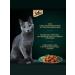 Sheba Wet food for cats (in jelly) veal 75g x 56pcs - Buy Online on GoSupps.com