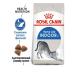 ROYAL CANIN Dry feed indoor 27 for cats 2 kg - Buy Online on GoSupps.com