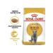 ROYAL CANIN British shorthair adult dry cat food 2 kg - Buy Online on GoSupps.com