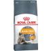 ROYAL CANIN Hair & Skin Care for cats 2 kg - Buy Online on GoSupps.com