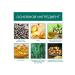 eelhoe Repair hair follicles stimulates hair growth oil - Buy Online on GoSupps.com