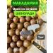 Nut for Health Macadamia 1 kg walnut in a shell with a key