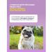 Spray against itching for cats and dogs 100 ml - Buy Online on GoSupps.com