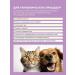 Spray against itching for cats and dogs 100 ml - Buy Online on GoSupps.com