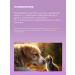 Spray against itching for cats and dogs 100 ml - Buy Online on GoSupps.com