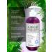 AMIGO Shampoo for deep cleaning of the wool of dogs and cats 300ml - Buy Online on GoSupps.com