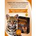 GOOD CAT A healthy treat for cats with the taste of juicy lamb 90 tablets. - Buy Online on GoSupps.com