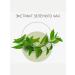 MISSHA Foam for washing with green tea extract 172 ml - Buy Online on GoSupps.com