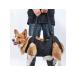 Dog assistance belt - Buy Online on GoSupps.com