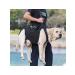 Dog assistance belt - Buy Online on GoSupps.com