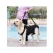 Dog assistance belt - Buy Online on GoSupps.com