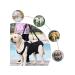 Dog assistance belt - Buy Online on GoSupps.com