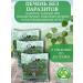 Phytocenter Gordeev MV Herbal collection liver without parasites 50 gr. (3 pcs in packaging)