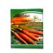 Honey and Jam Dry tea drink carrots seeds 40 g - Buy Online on GoSupps.com