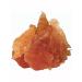 Country delicacies Adult delicacy for adult dogs chicken slices tender 10pcs - Buy Online on GoSupps.com