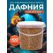 Sly Rat Aquarium daphnia fish food