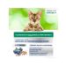 PERFECT FIT Dry Immunity food for cats with beef 1.1kg - Buy Online on GoSupps.com