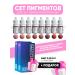 Peinto A set of pigments for the lip permanent and gift