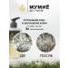Gold of Altai Shampoo Restoring and strengthening with mummy - Buy Online on GoSupps.com