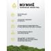 Gold of Altai Shampoo Restoring and strengthening with mummy - Buy Online on GoSupps.com